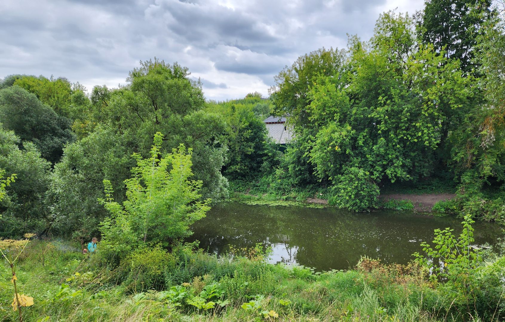 Подольск, борщевик, борьба с сорняком, отработка обращений