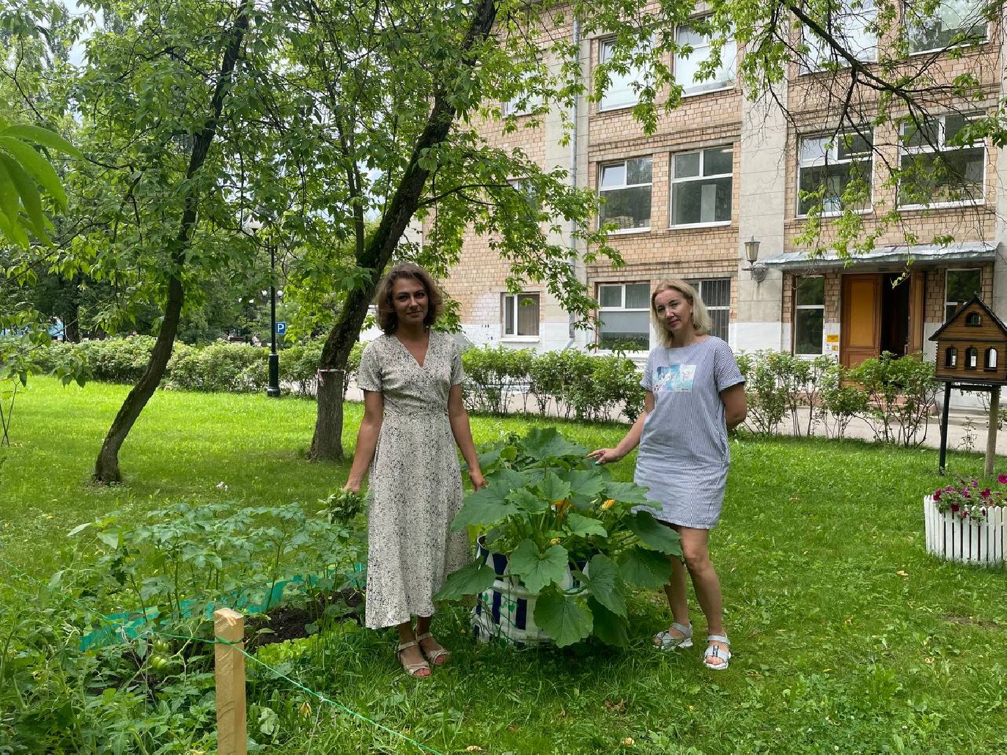 лыткарино, огород, первые плоды