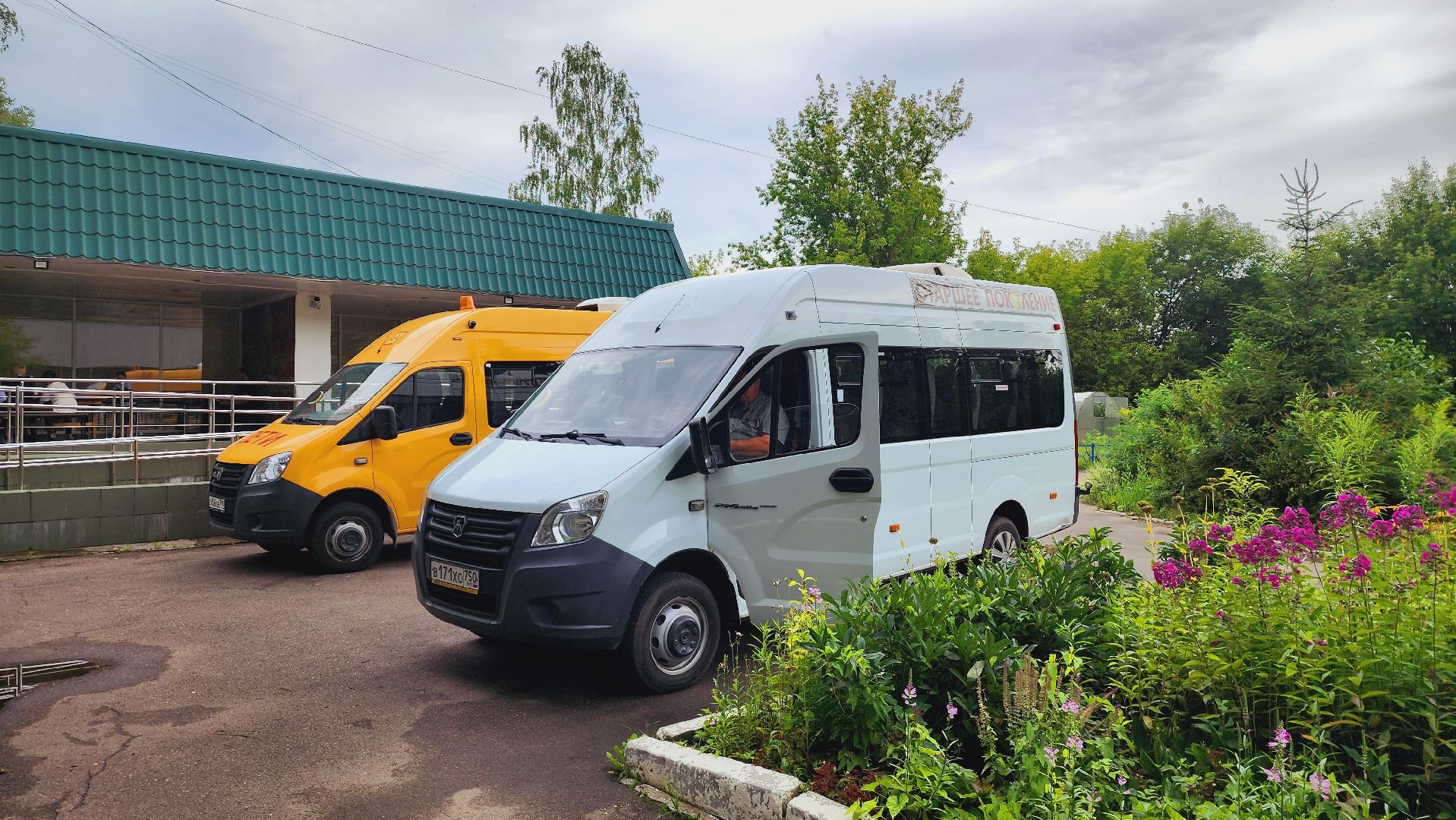 Подмосковье, Ивантеевка, общество