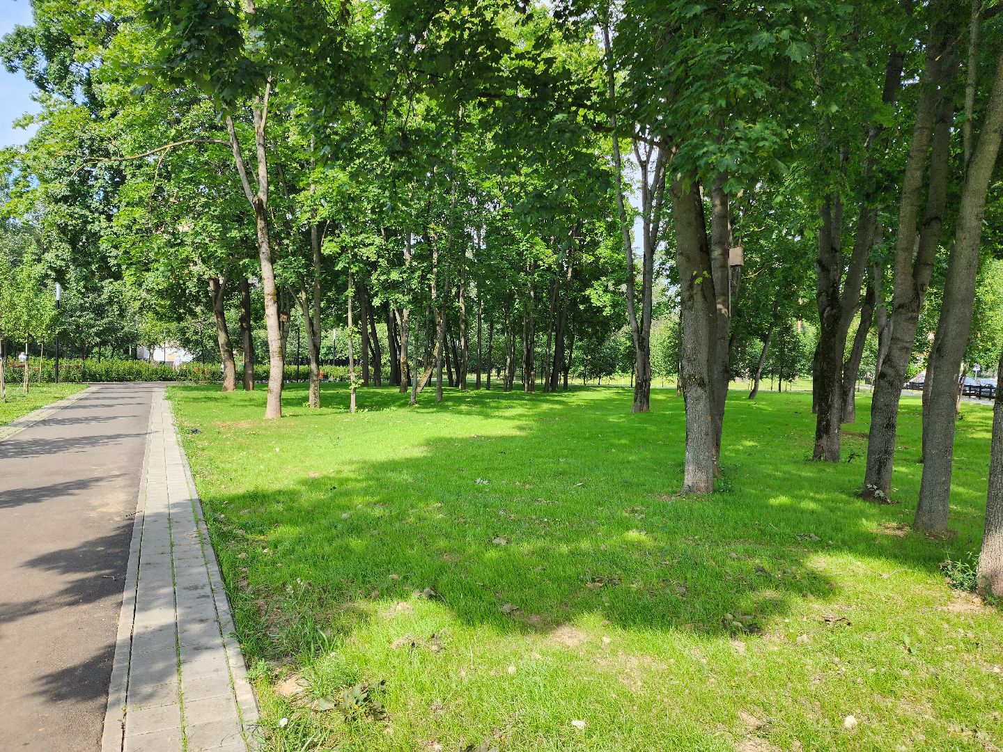 Подольск, благоустройство, газон, обращения жителей