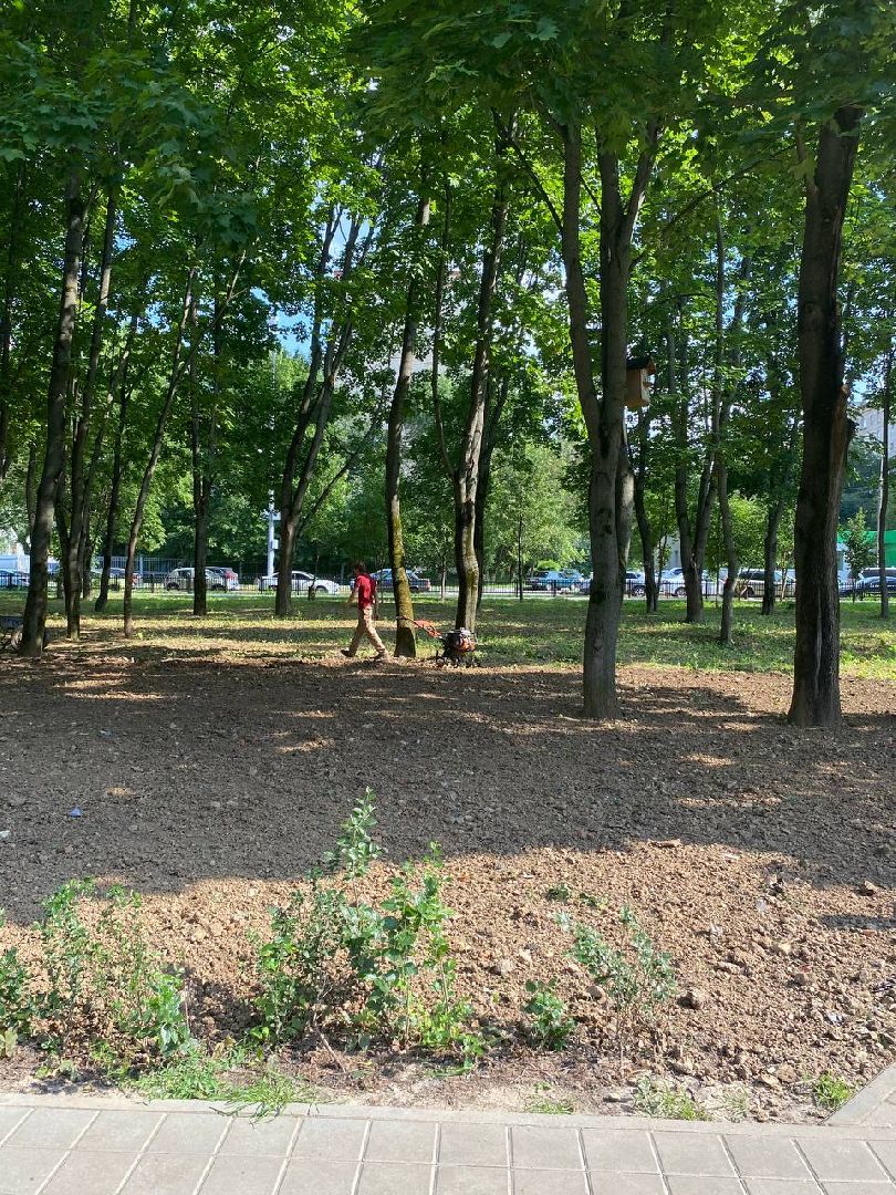 Подольск, благоустройство, газон, обращения жителей