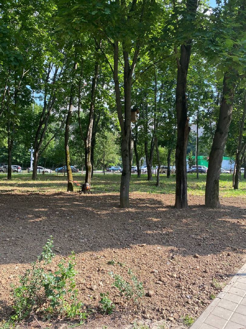 Подольск, благоустройство, газон, обращения жителей