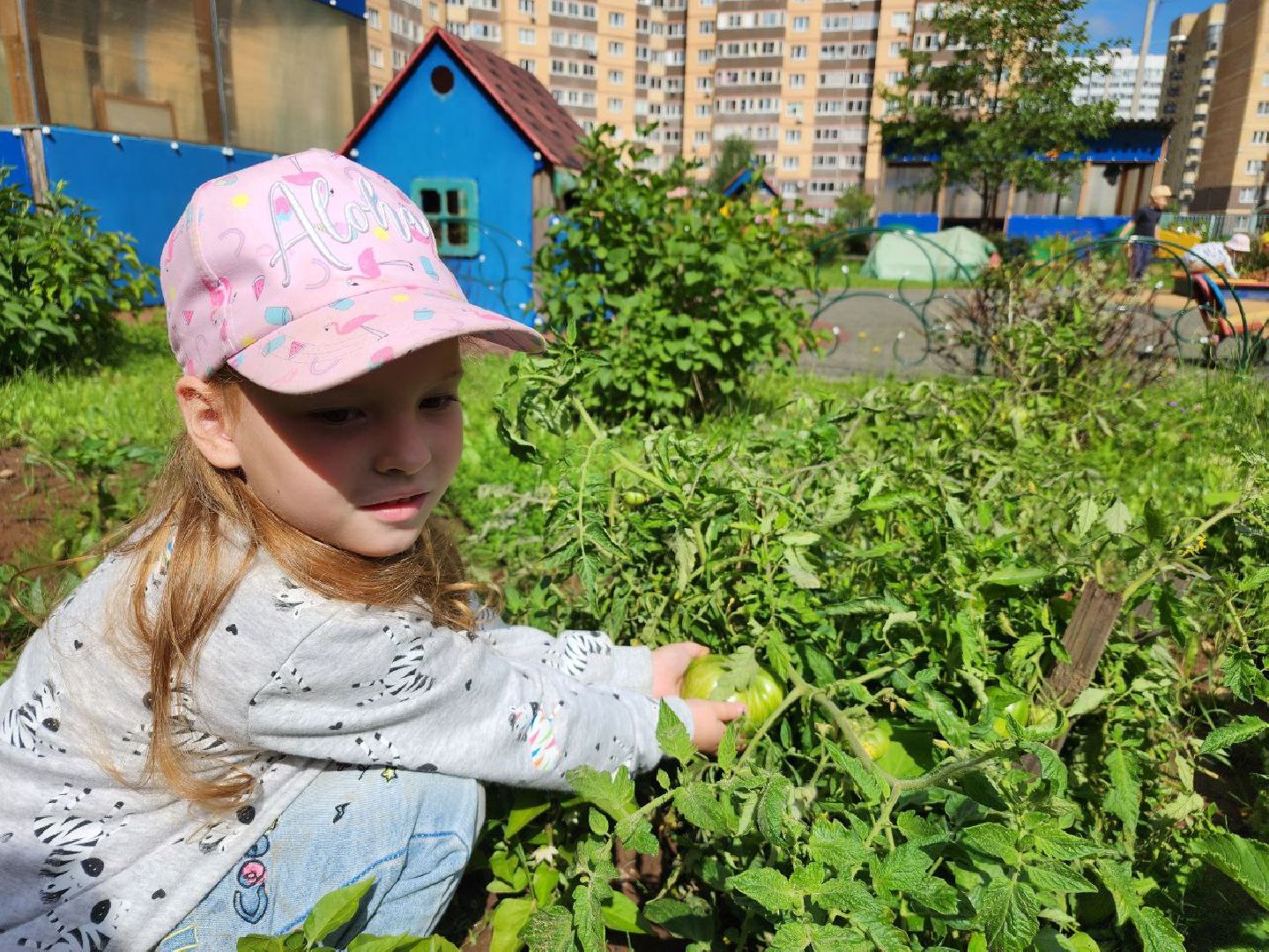 дети, детский сад, Лосино-Петровский