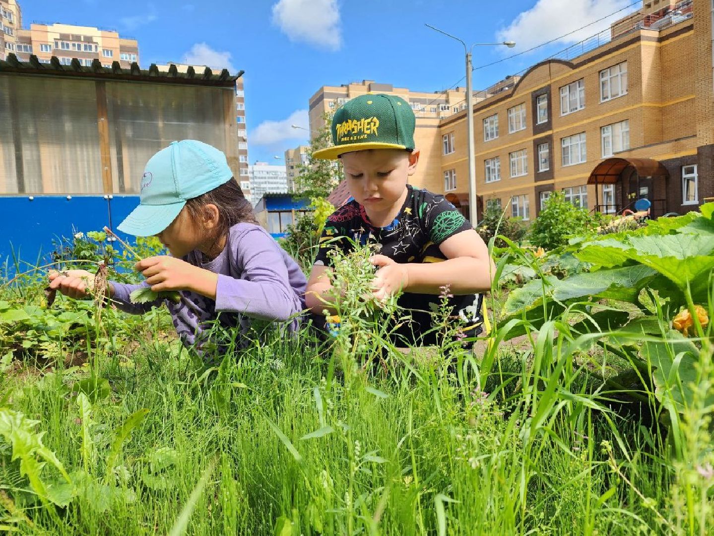 дети, детский сад, Лосино-Петровский