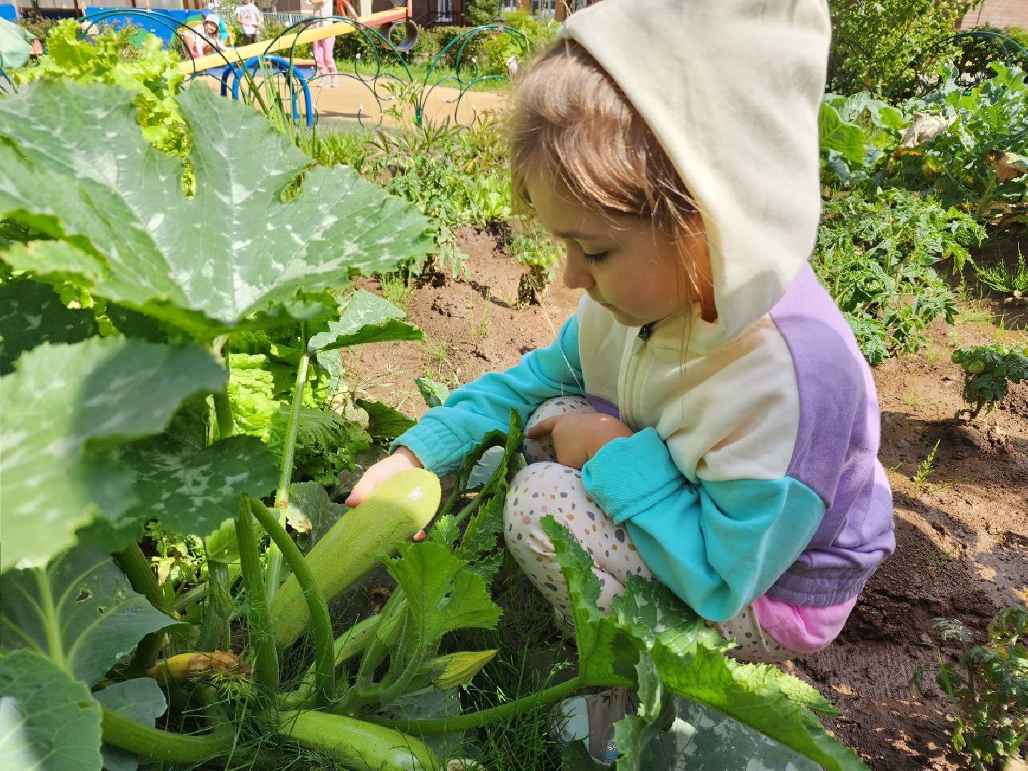 дети, детский сад, Лосино-Петровский