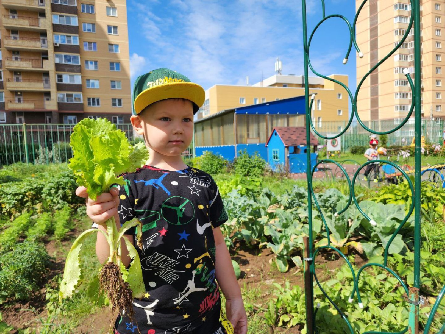 дети, детский сад, Лосино-Петровский