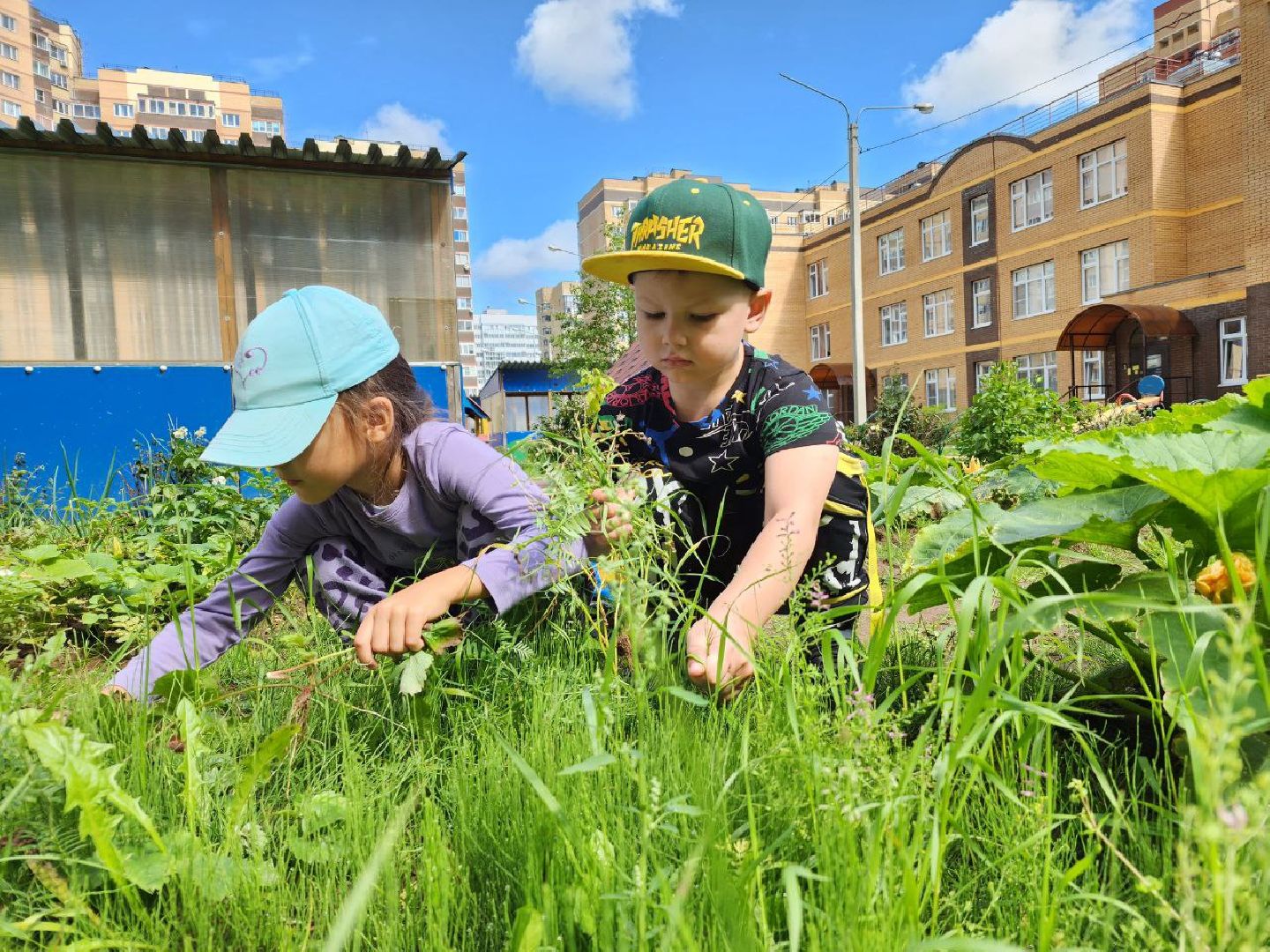 дети, детский сад, Лосино-Петровский