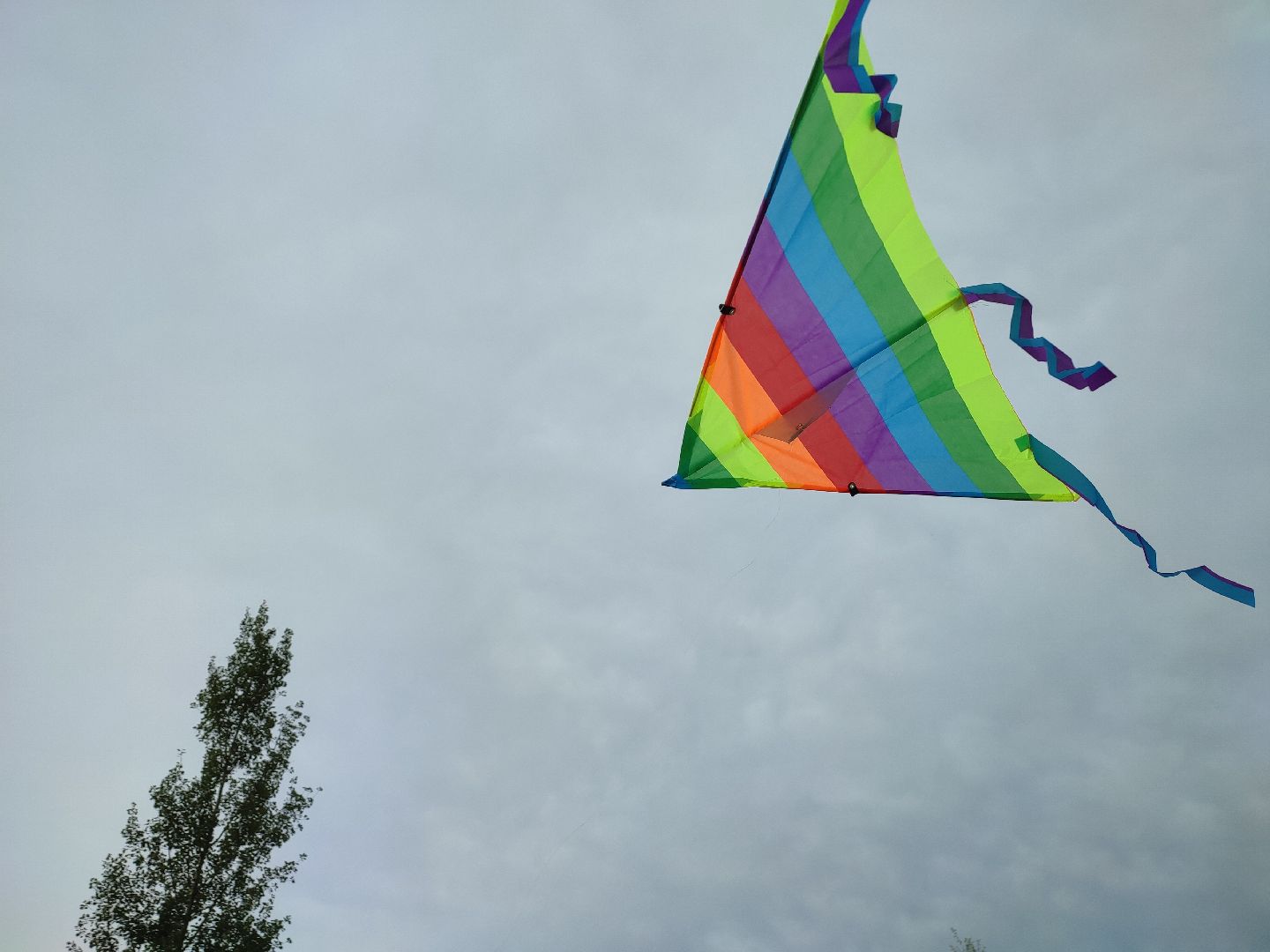 #воздушныезмеи, #фестиваль, #небо, #талдомскийокруг, #попутныйветер