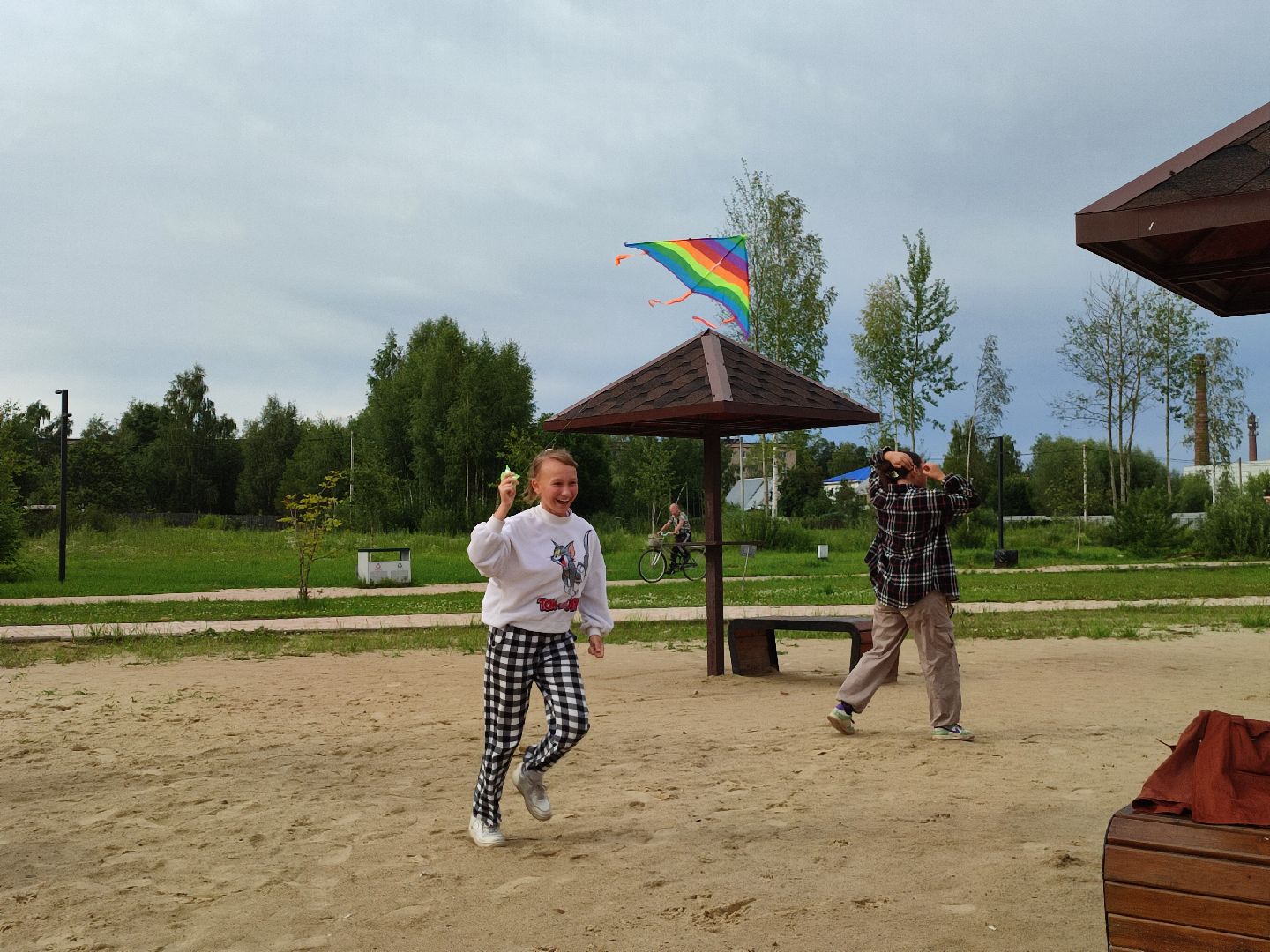 #воздушныезмеи, #фестиваль, #небо, #талдомскийокруг, #попутныйветер