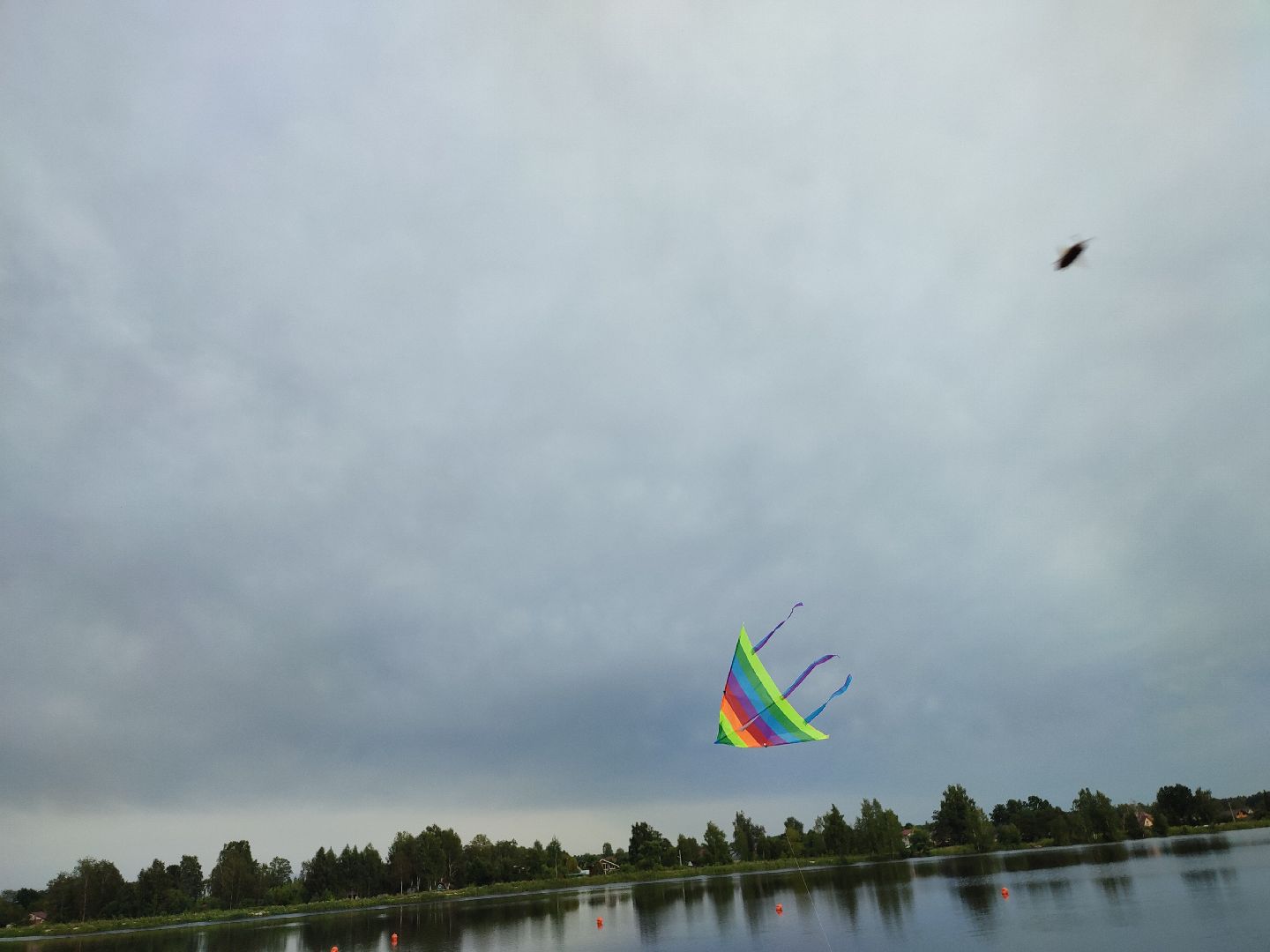 #воздушныезмеи, #фестиваль, #небо, #талдомскийокруг, #попутныйветер