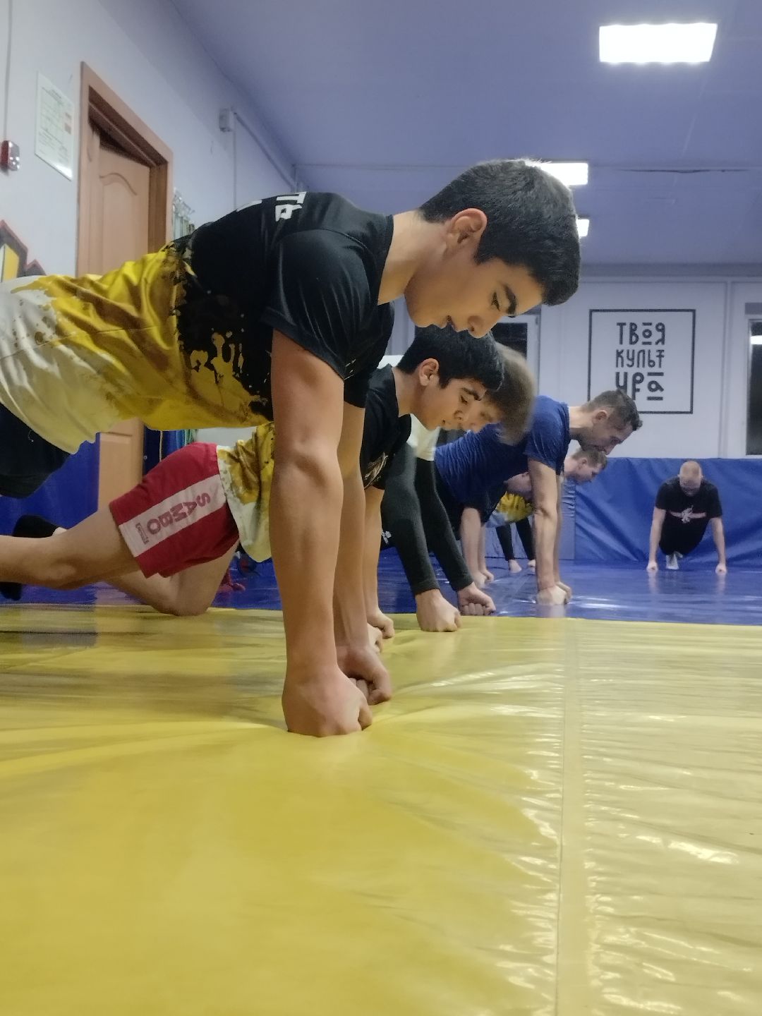 Истра, спорт, соревнования, панкратион