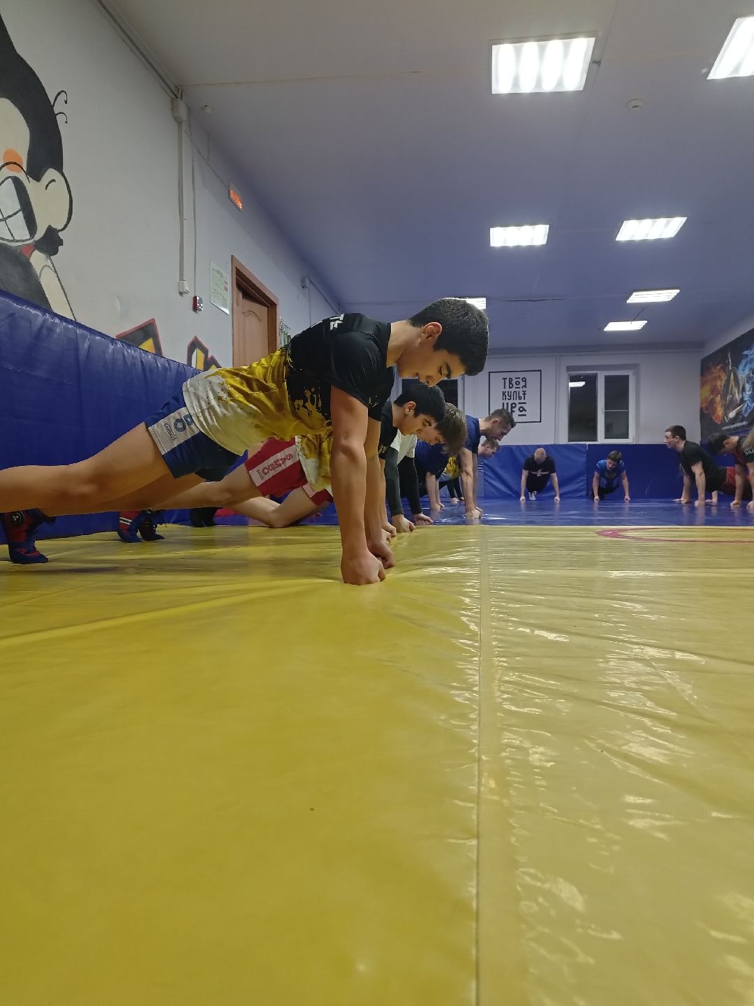 Истра, спорт, соревнования, панкратион