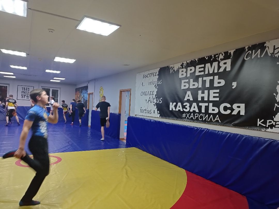 Истра, спорт, соревнования, панкратион