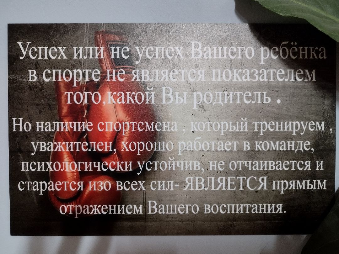 Истра, спорт, соревнования, панкратион