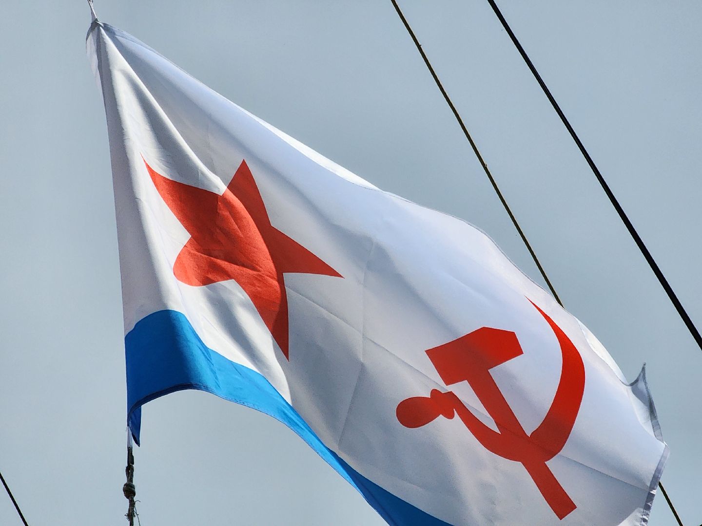 Павловский Посад, городской округ Павловский Посад, люди, праздник, моряки, общество, парк