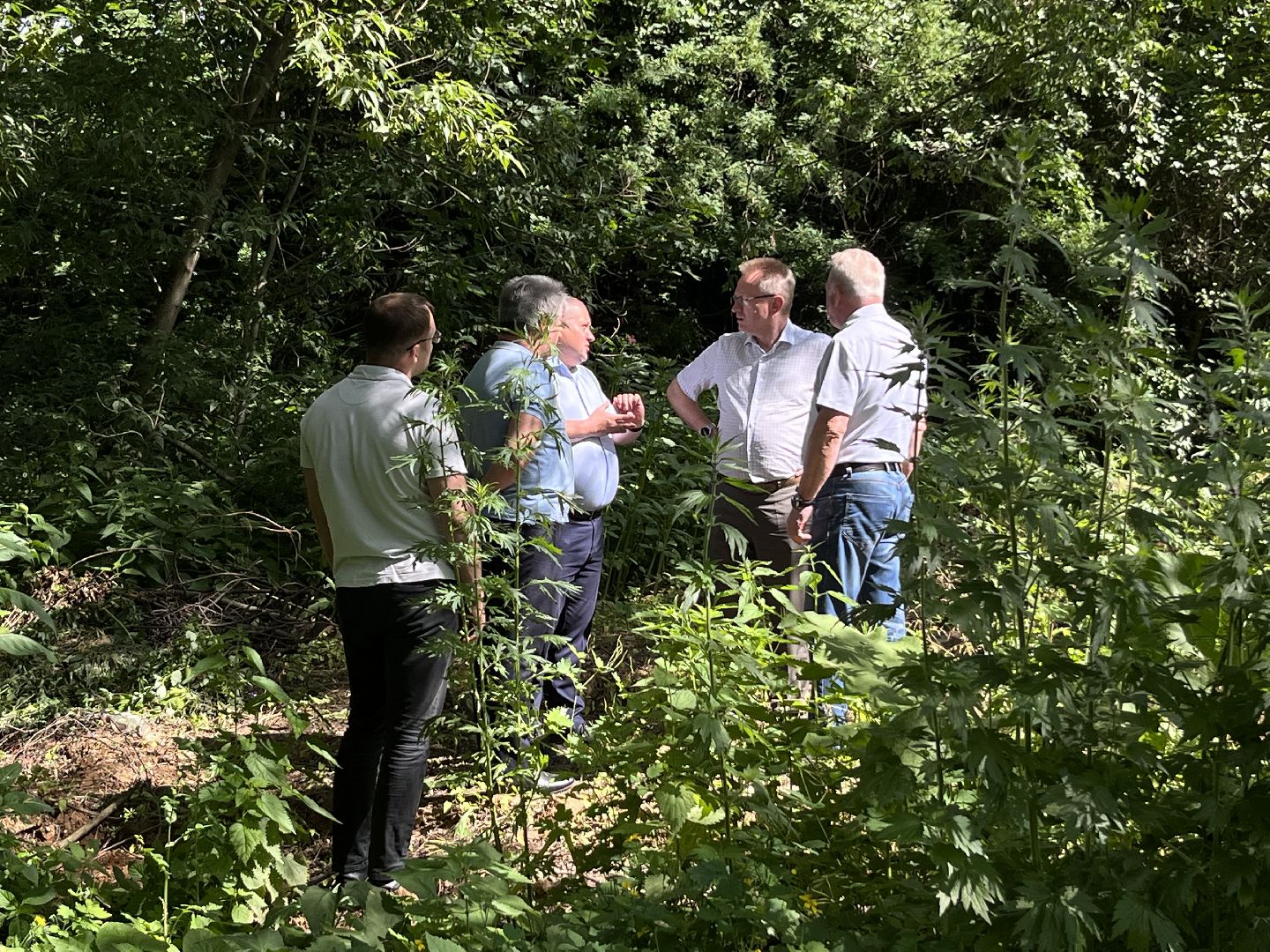 Наро-Фоминский городской округ, экология, экологический рейд, ручей, незаконные сливы