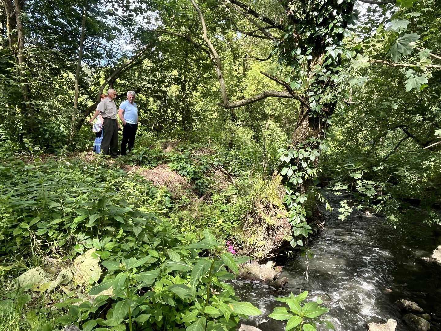 Наро-Фоминский городской округ, экология, экологический рейд, ручей, незаконные сливы