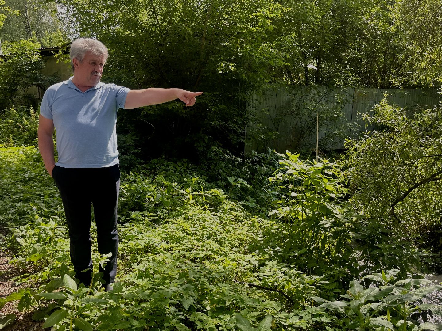 Наро-Фоминский городской округ, экология, экологический рейд, ручей, незаконные сливы