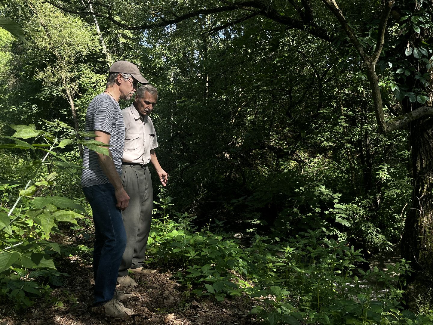 Наро-Фоминский городской округ, экология, экологический рейд, ручей, незаконные сливы