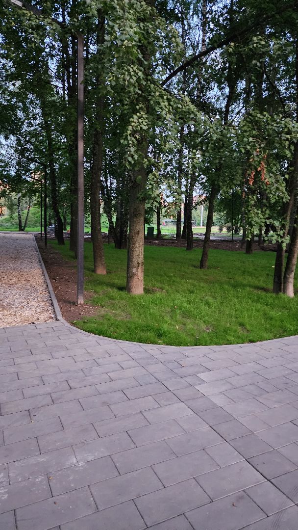 Долгопрудный, парки, реконструкция, Центральный парк, Андрей Воробьев