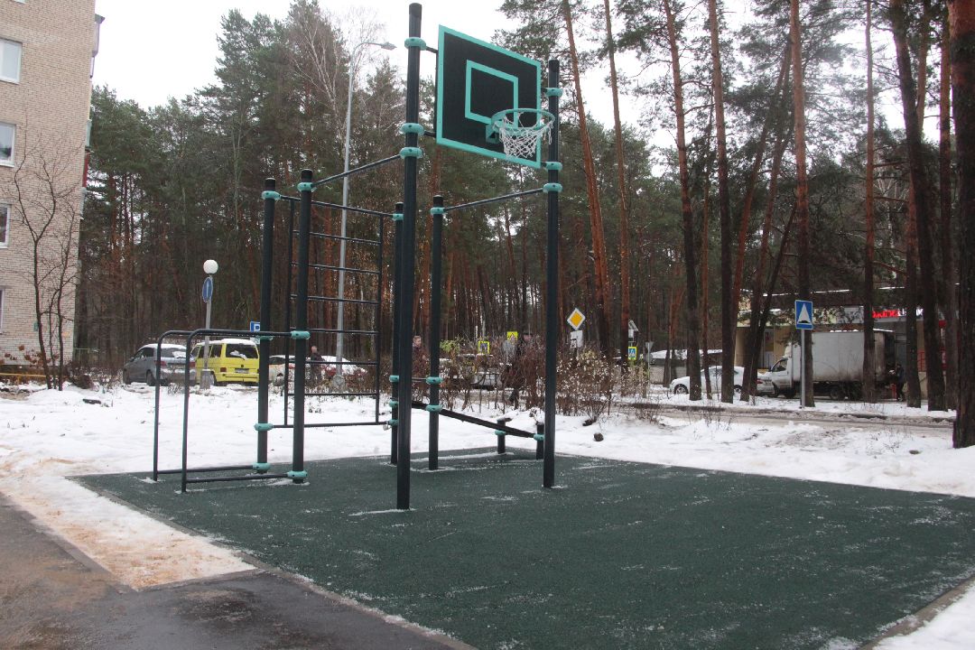 Протвино, Пущино, общество