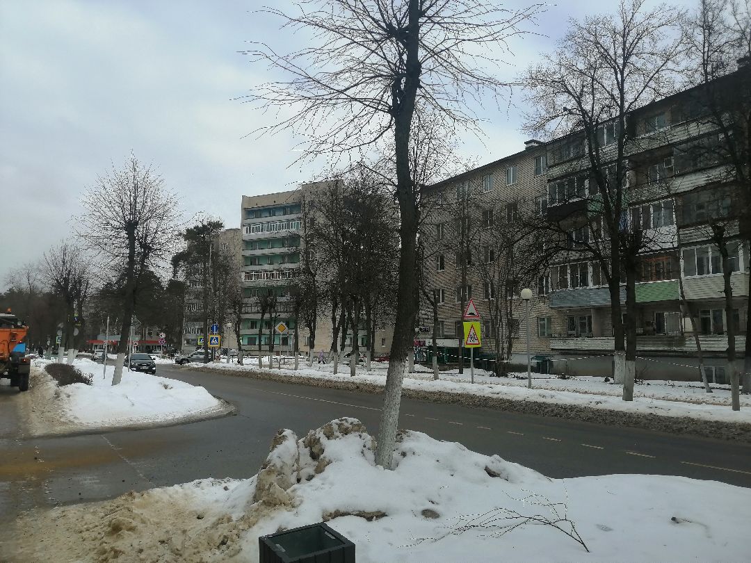 Протвино, Пущино, общество