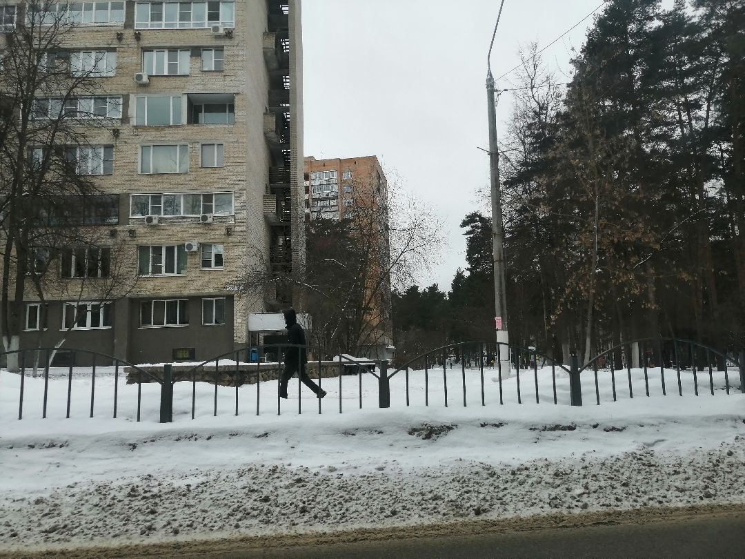 Протвино, Пущино, общество