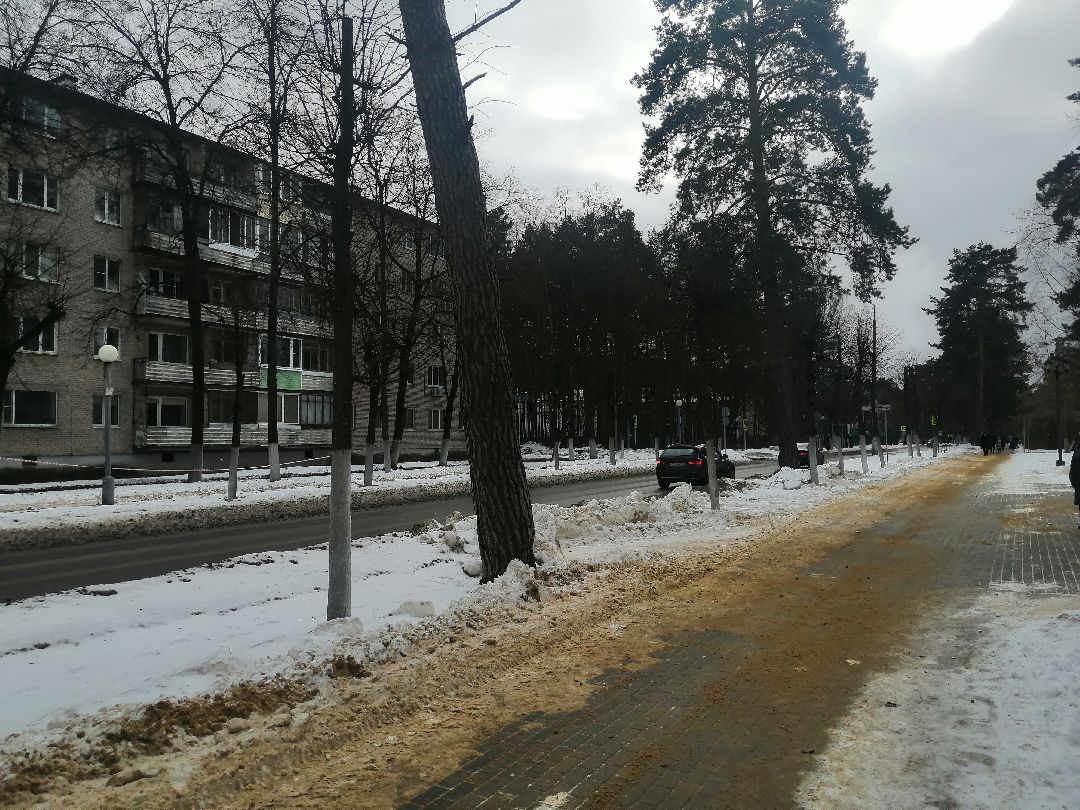 Протвино, Пущино, общество