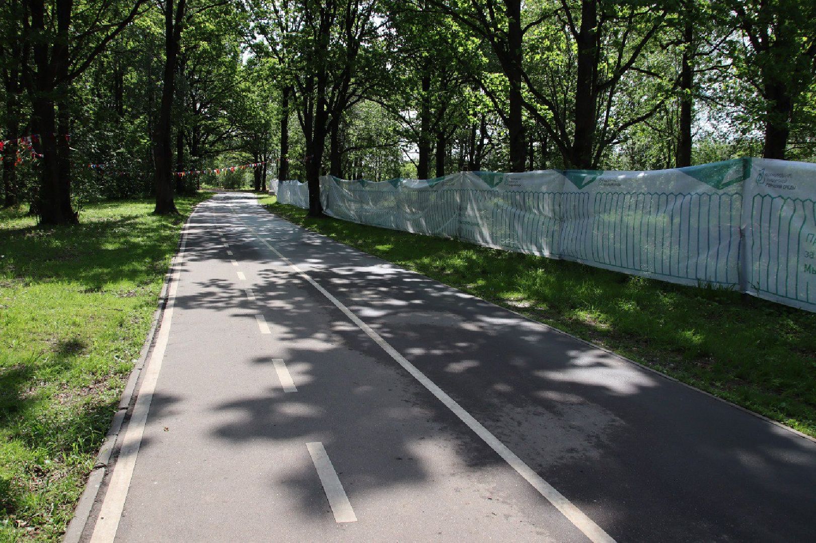 Парк Дубки, благоустройство парков, Олег Рожнов, Калининец