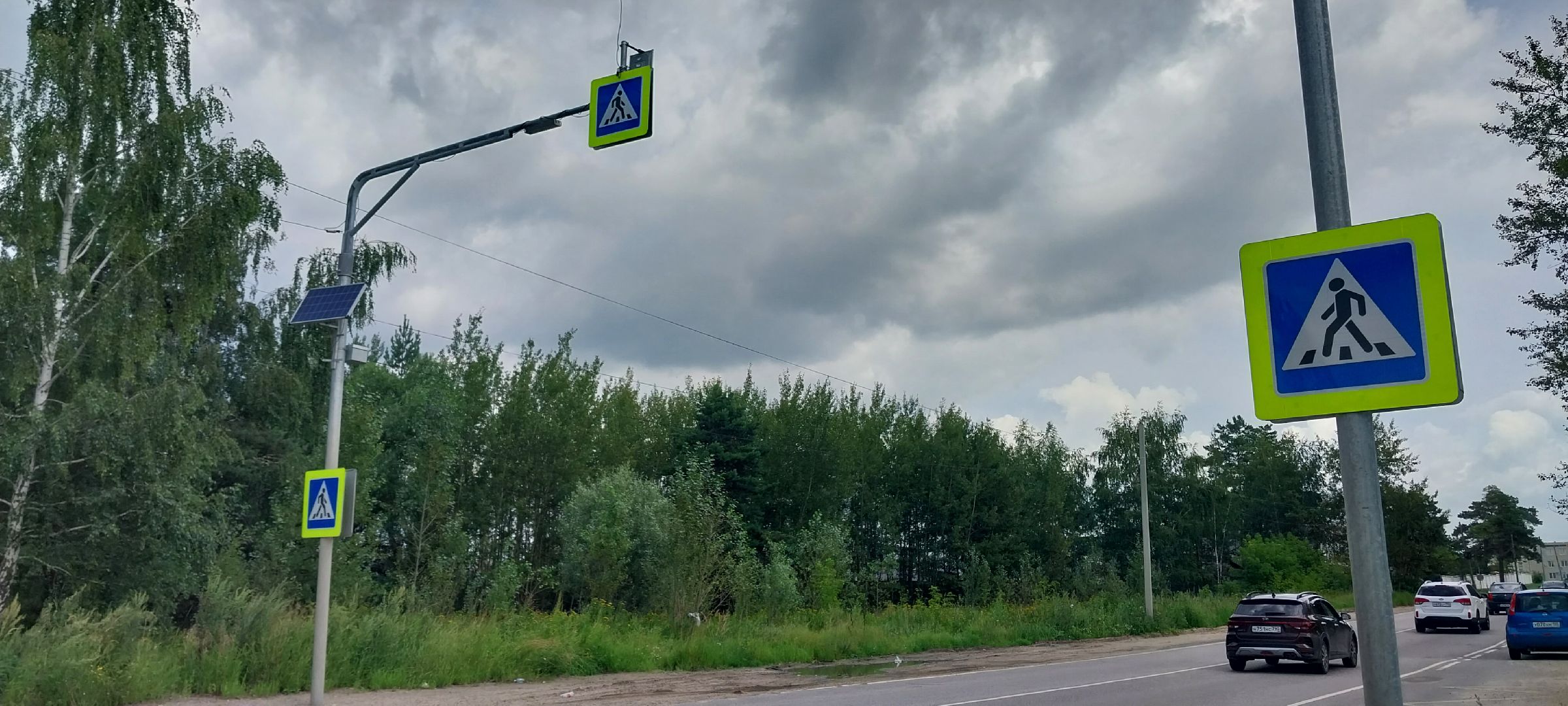 Коломна, светофор, пешеходный переход