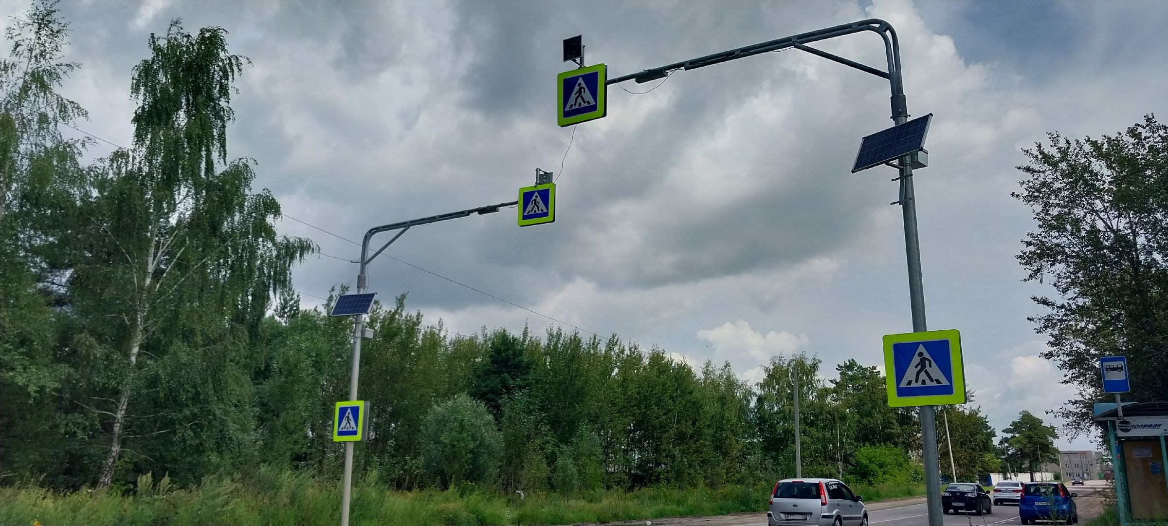 Коломна, светофор, пешеходный переход