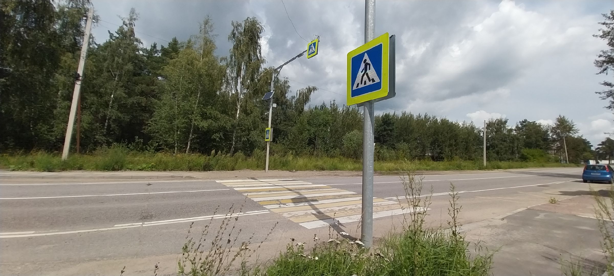 Коломна, светофор, пешеходный переход