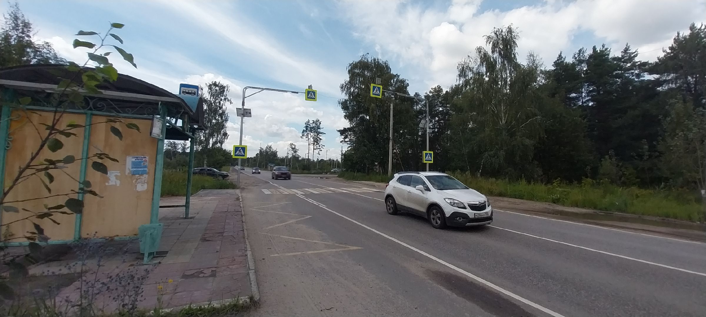 Коломна, светофор, пешеходный переход