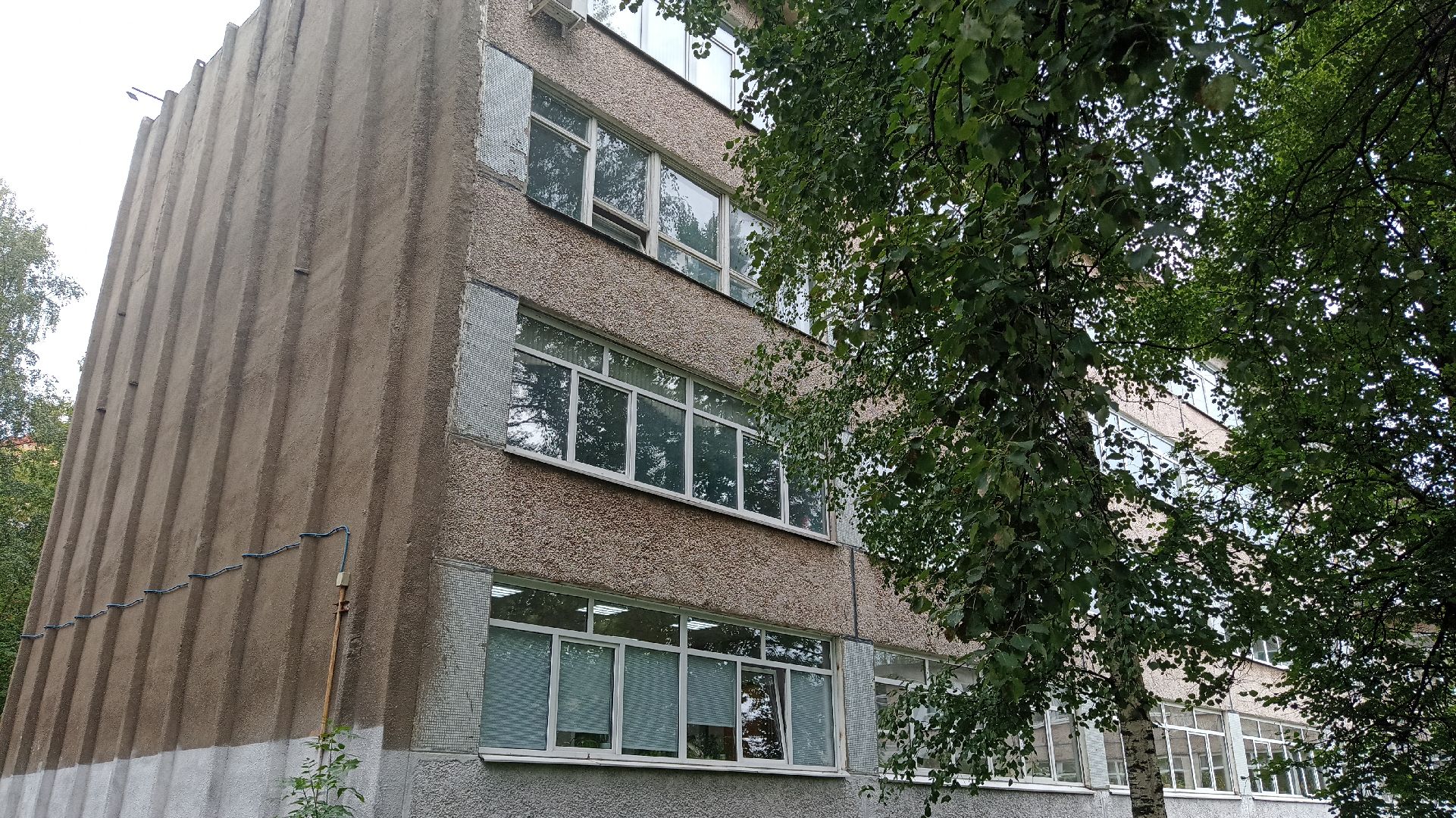 Реутов, образование, спортзал, ремонт, рабочие