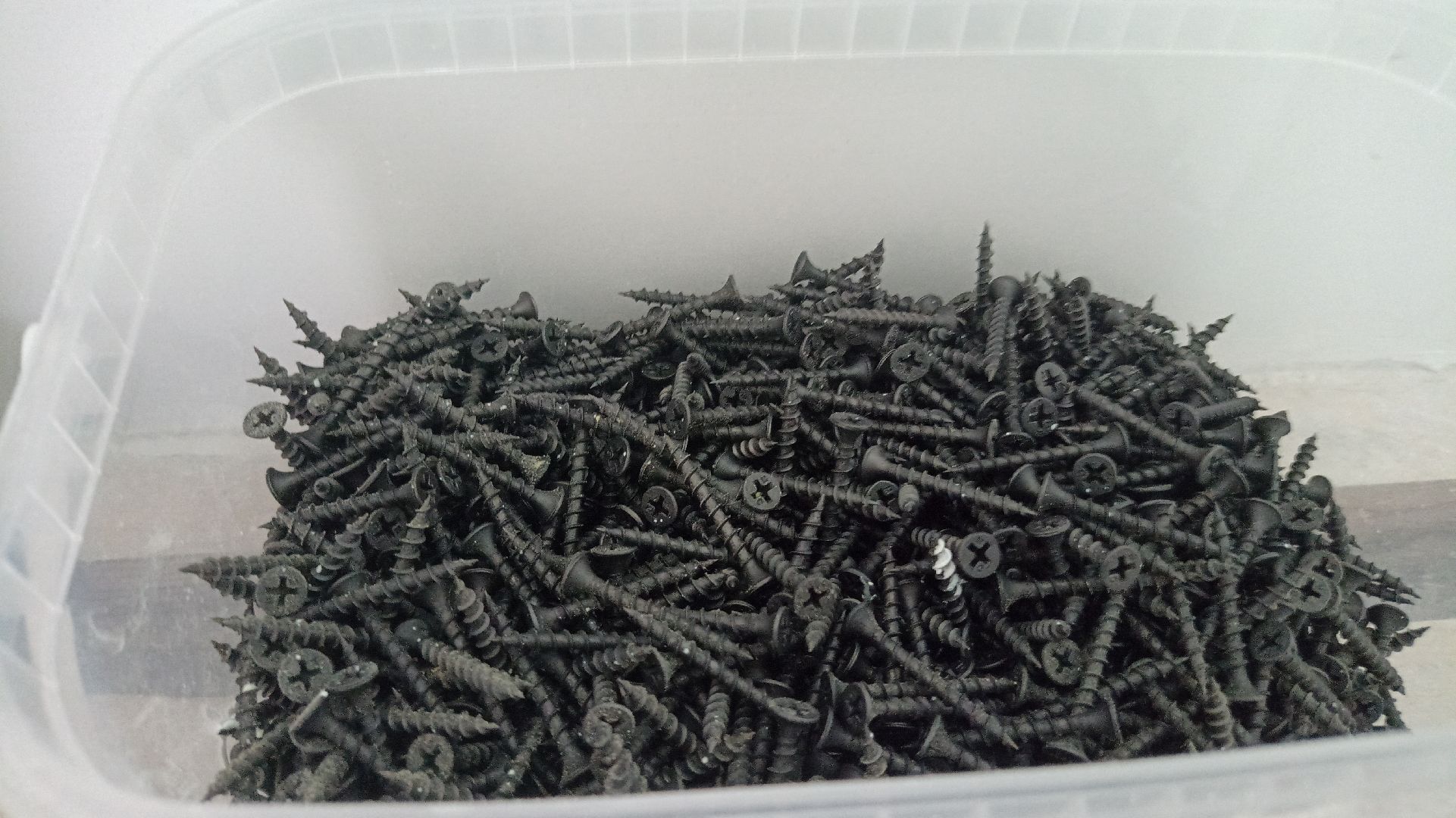 Реутов, образование, спортзал, ремонт, рабочие