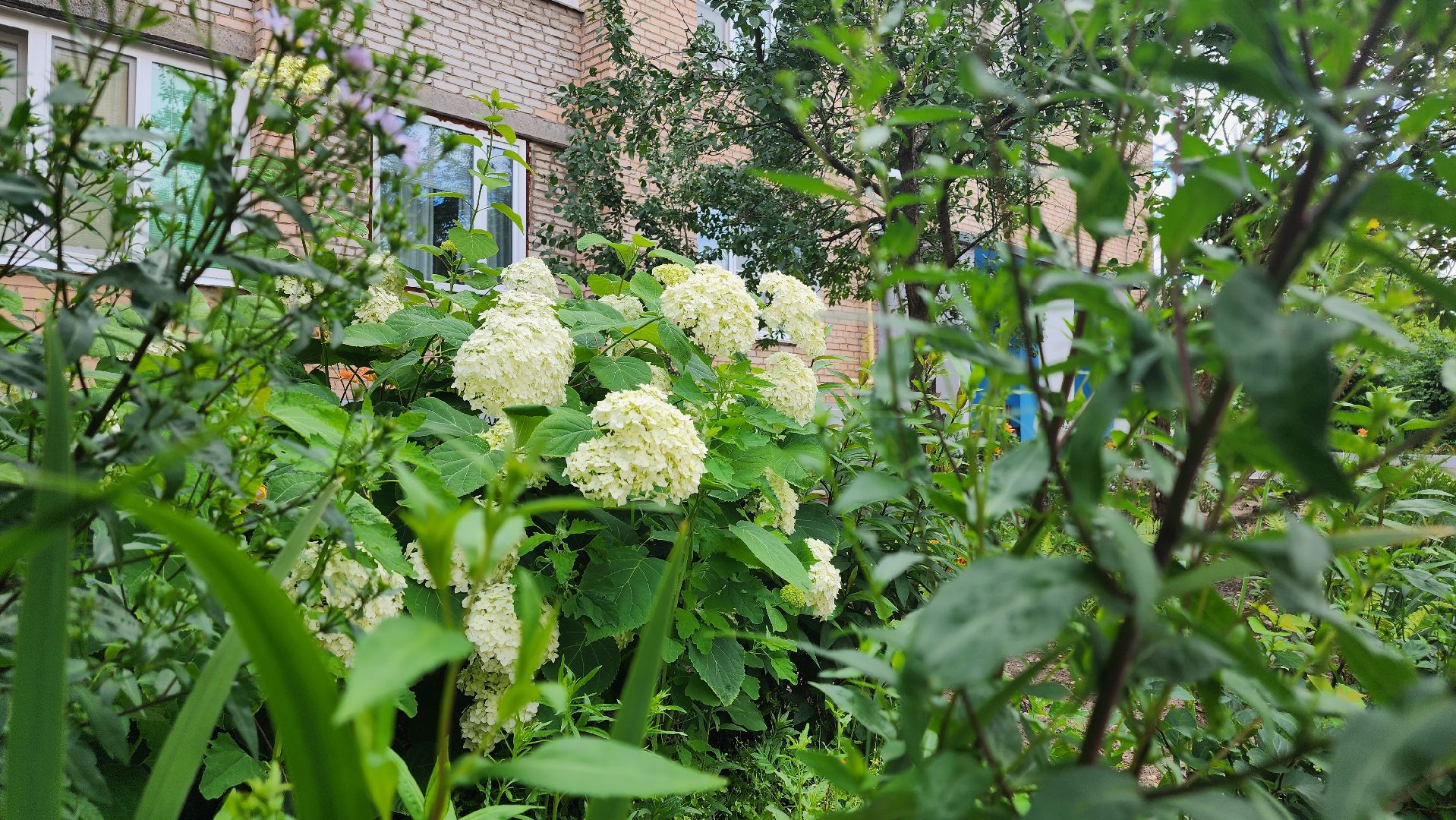 Красноармейск, ГУСТ, ЖКХ, содержание домов, управляющая компания