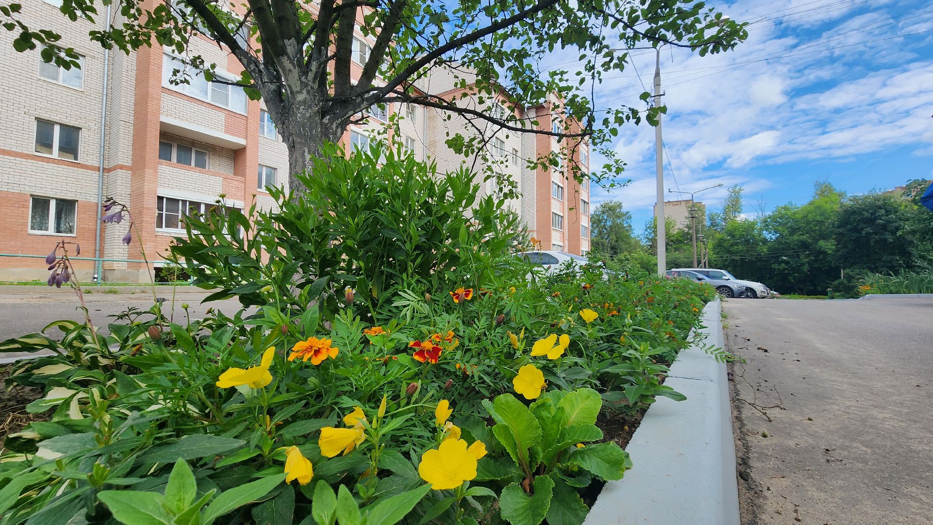 Красноармейск, ГУСТ, ЖКХ, содержание домов, управляющая компания