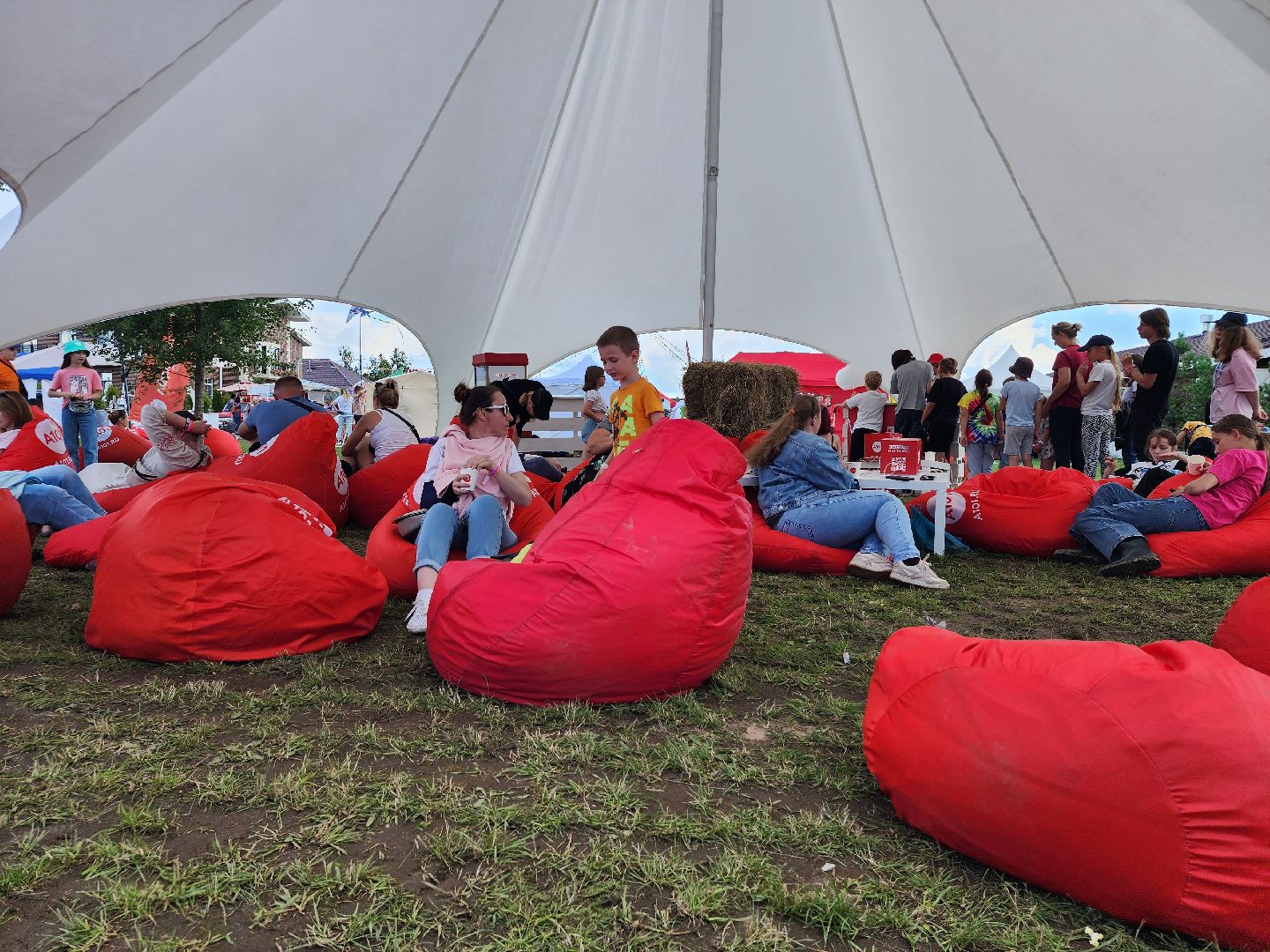 Фестиваль, конный фестиваль, отдых, Иваново поле, Богородский городской округ