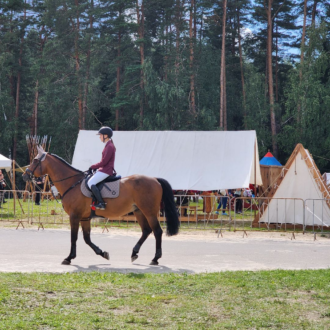 Фестиваль, конный фестиваль, отдых, Иваново поле, Богородский городской округ