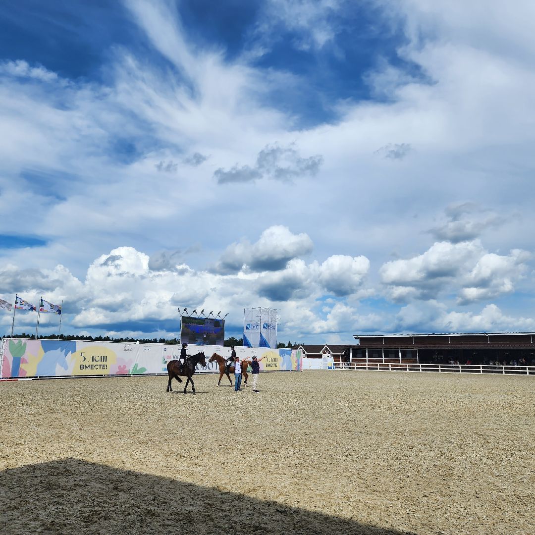 Фестиваль, конный фестиваль, отдых, Иваново поле, Богородский городской округ