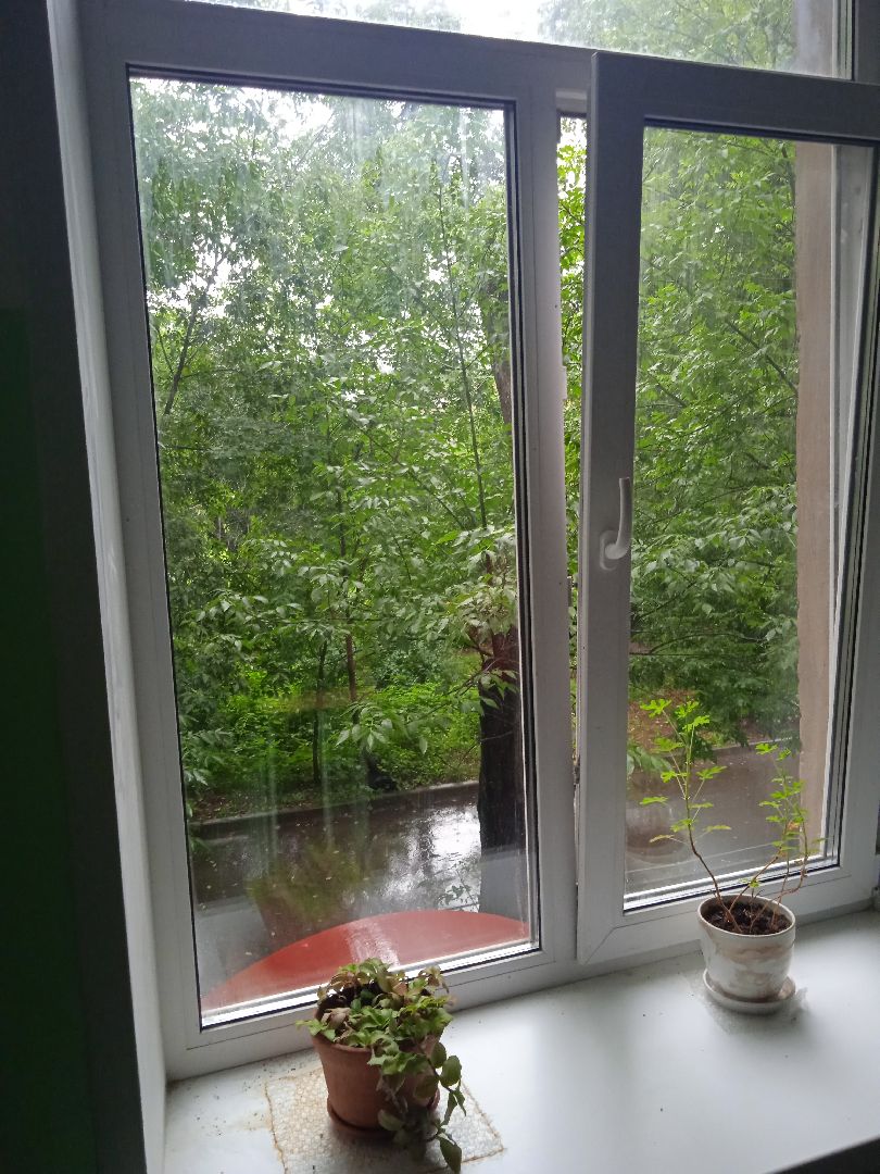 Мой, подъезд, губернаторская, программа, ремонт