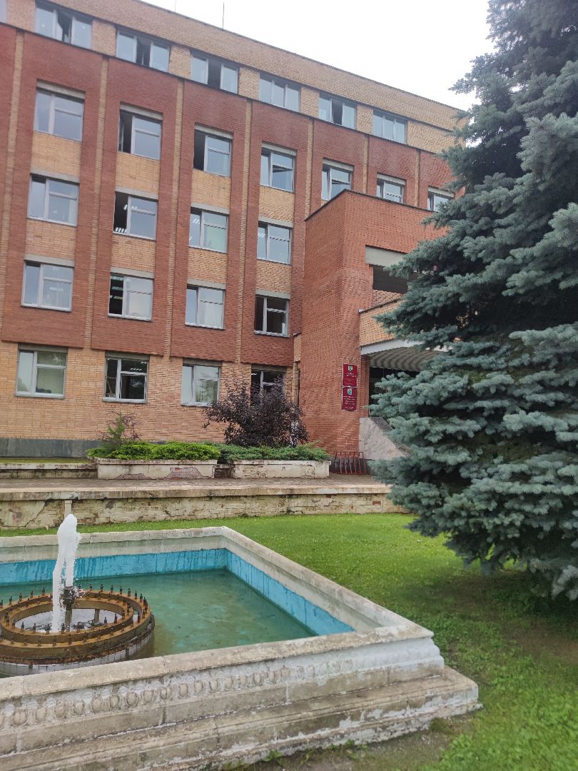 Выборы губернатора, голосование, заявление, мобильный избиратель, Дубна