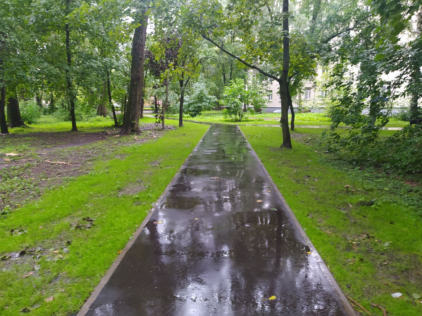 Красногорск, асфальтирование, тропинка