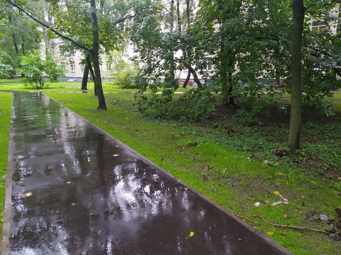 Красногорск, асфальтирование, тропинка