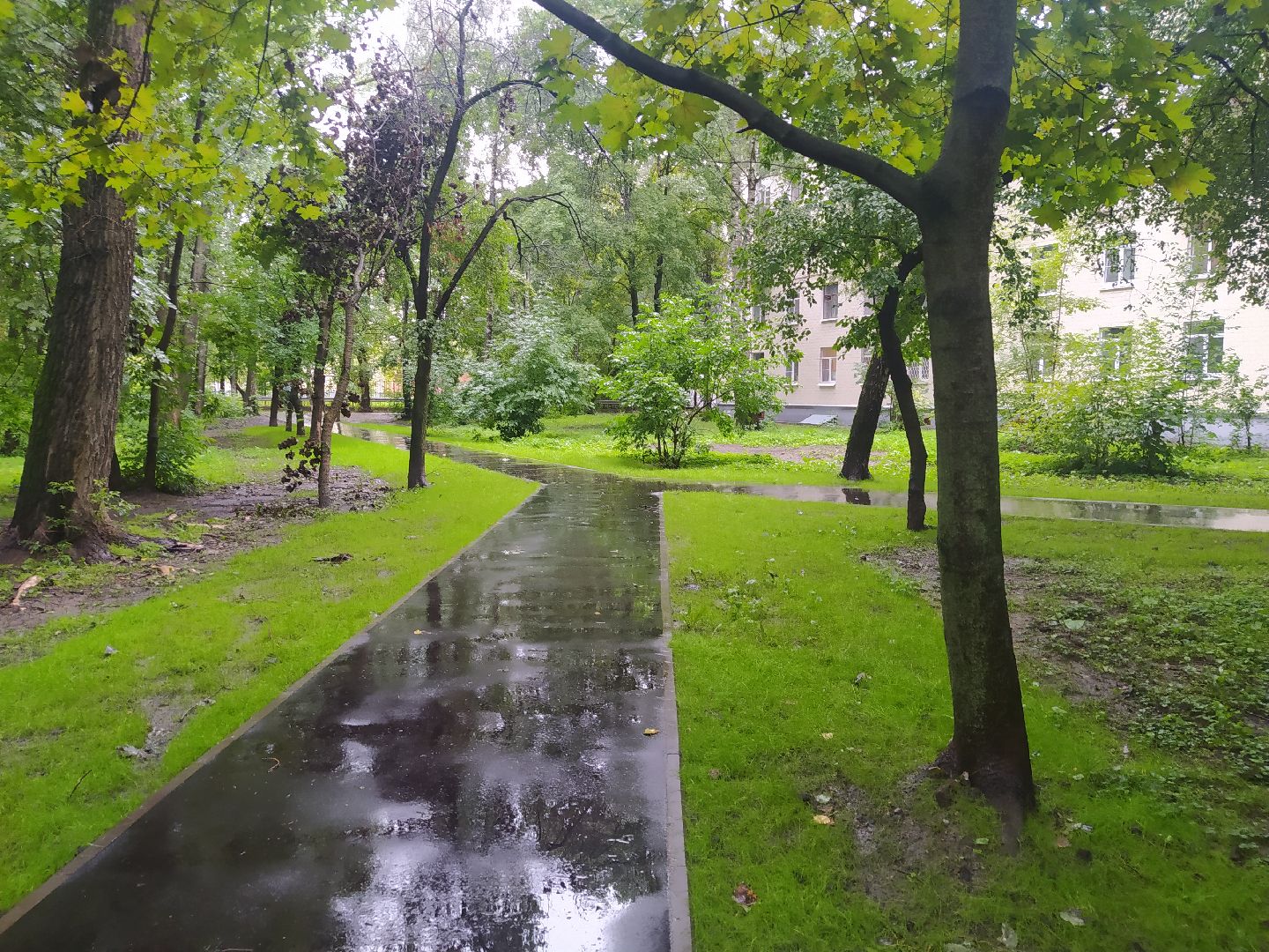 Красногорск, асфальтирование, тропинка