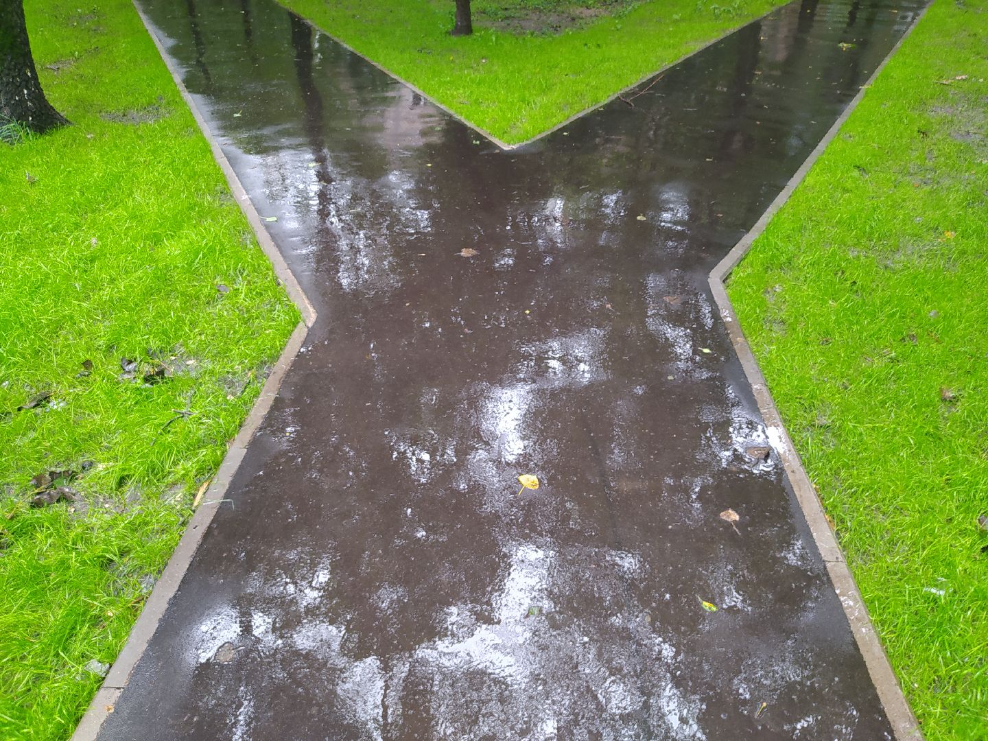 Красногорск, асфальтирование, тропинка