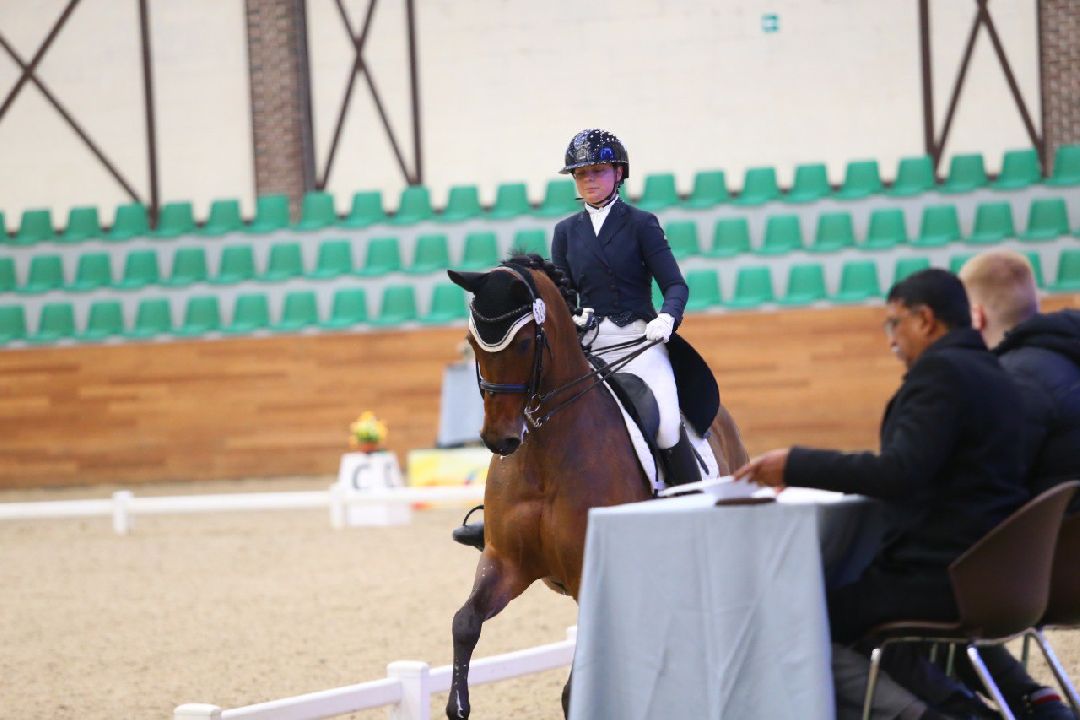 Дмитров, MAXIMA PARK, конный спорт