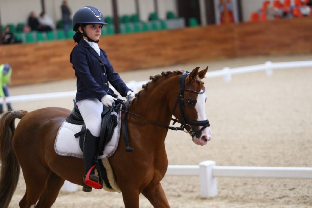 Дмитров, MAXIMA PARK, конный спорт