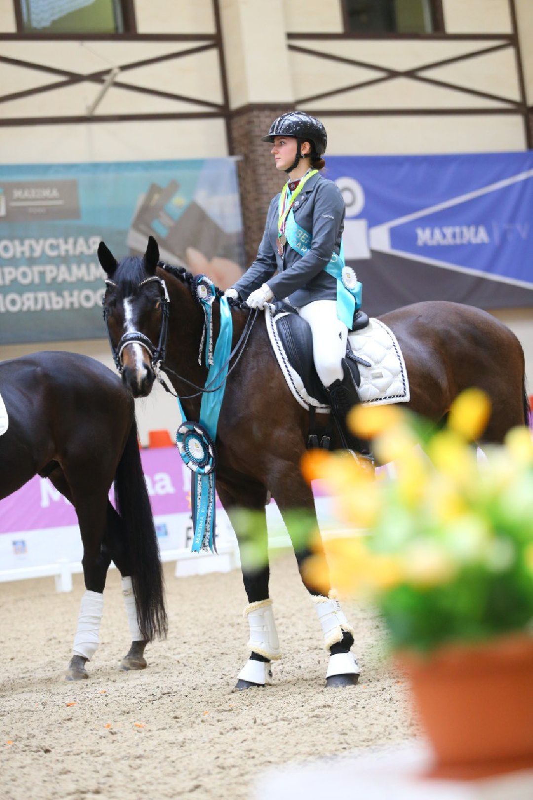 Дмитров, MAXIMA PARK, конный спорт