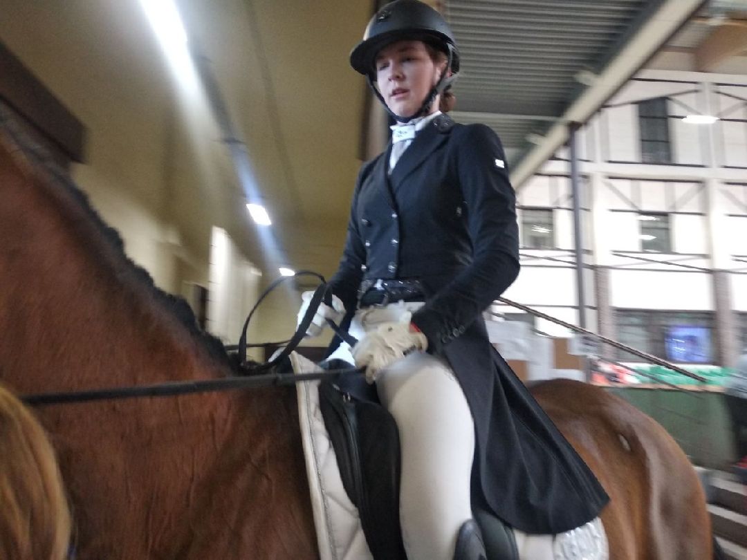 Дмитров, MAXIMA PARK, конный спорт